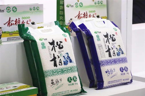 全湖南,全国,全世界美食都来长沙开会了 去吃啊