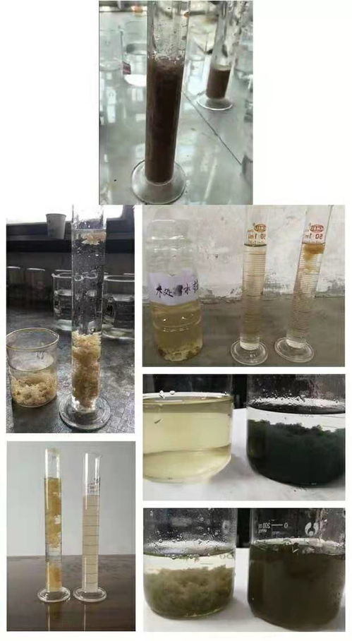 【湖南长沙气浮机用絮凝剂聚丙烯酰胺食品污水处理用泥水分离药剂】- 
